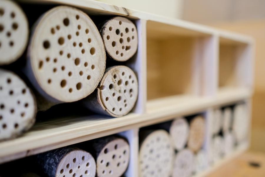 Die neuen Insektenhotels mit viel Wohnraum für zahlreiche Insekten. Foto: Dietrich Kühne