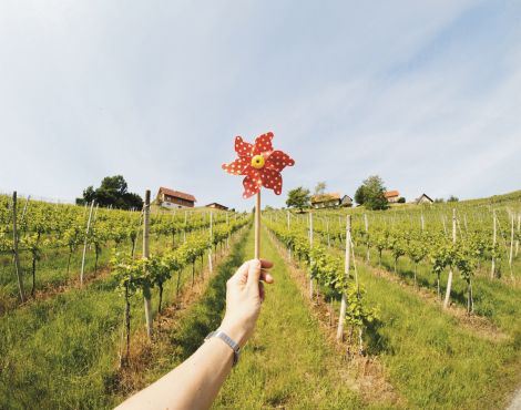 Windrad im Wind. Quelle: S-Com / getty